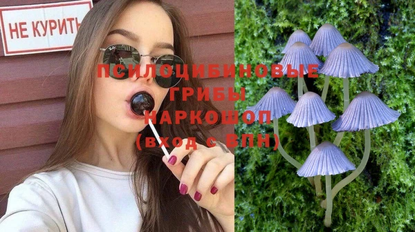 МДПВ Фёдоровский