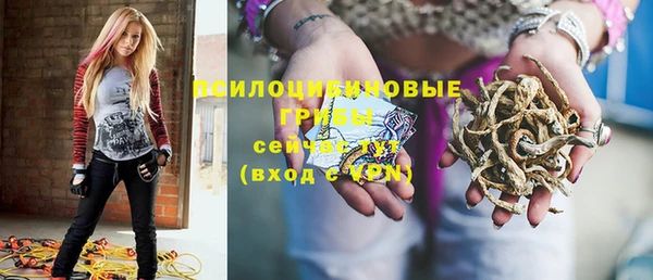 спайс Козловка