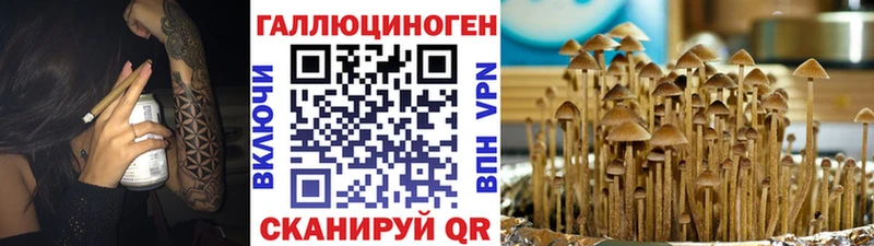 Галлюциногенные грибы Cubensis  Орск 